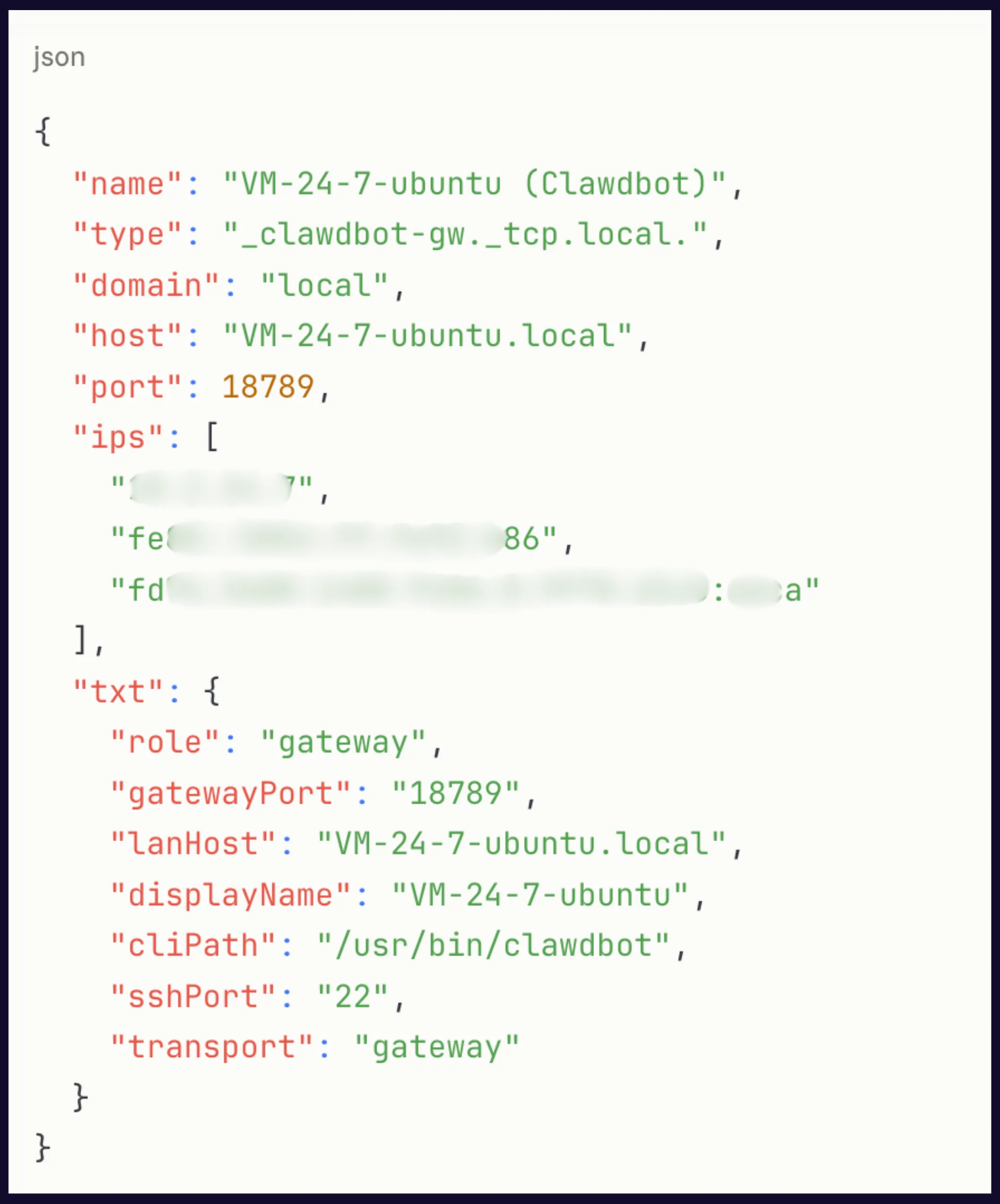 Figure 1: Moltbot mDNS broadcast leakage uncovered using Modat Magnify