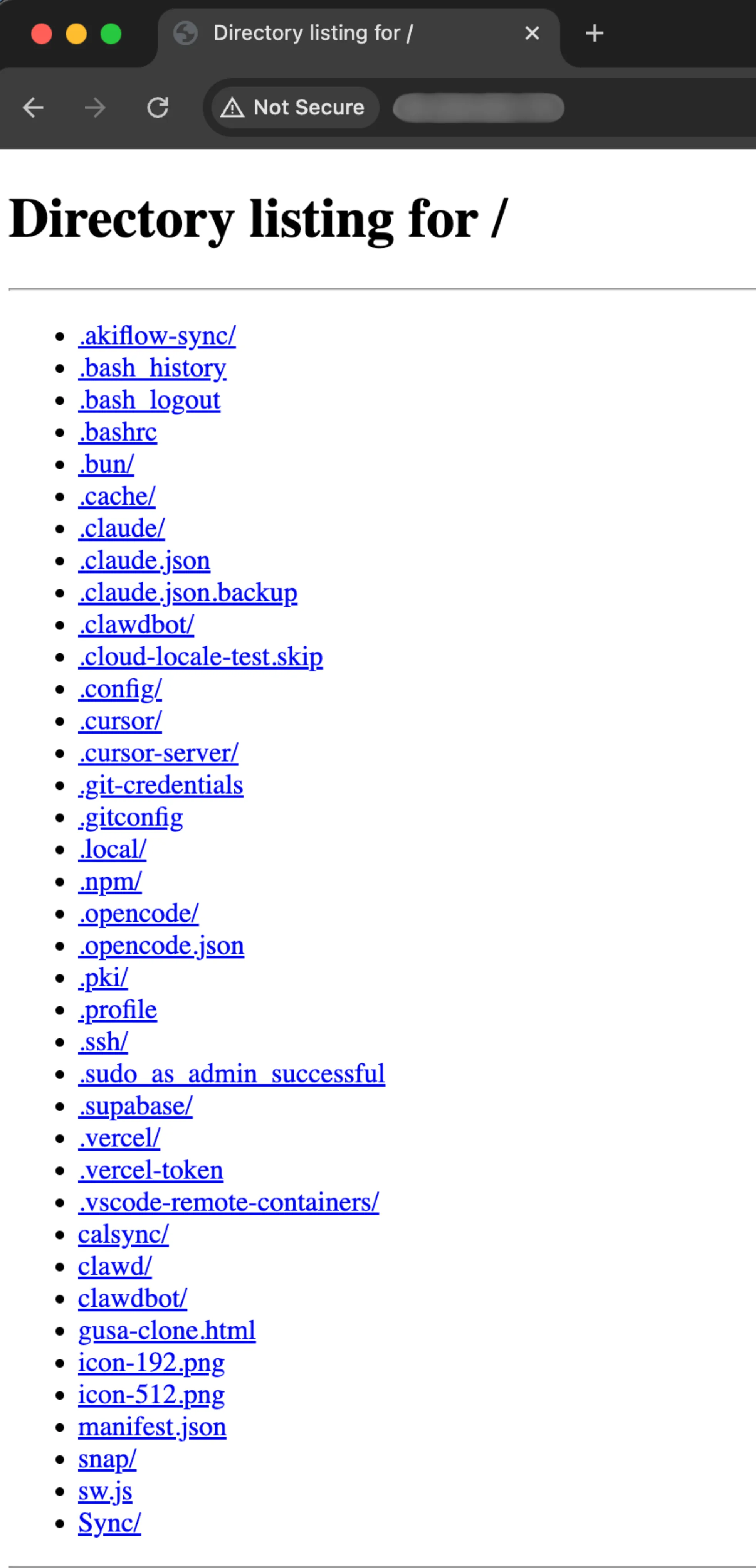 Figure 6: Example of Exposed Open Directory