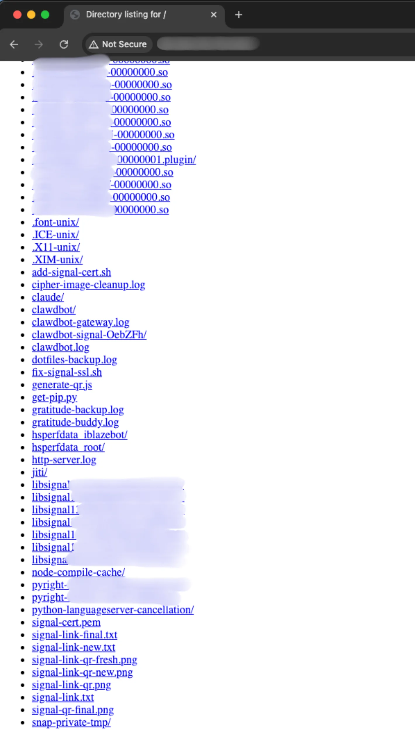 Figure 7: Example of Exposed Open Directory
