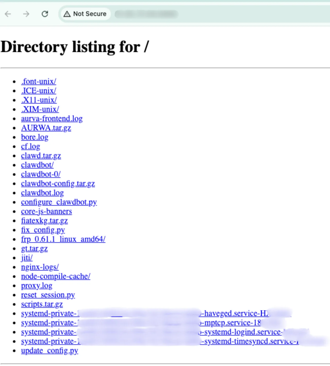 Figure 8: Example of Exposed Open Directory