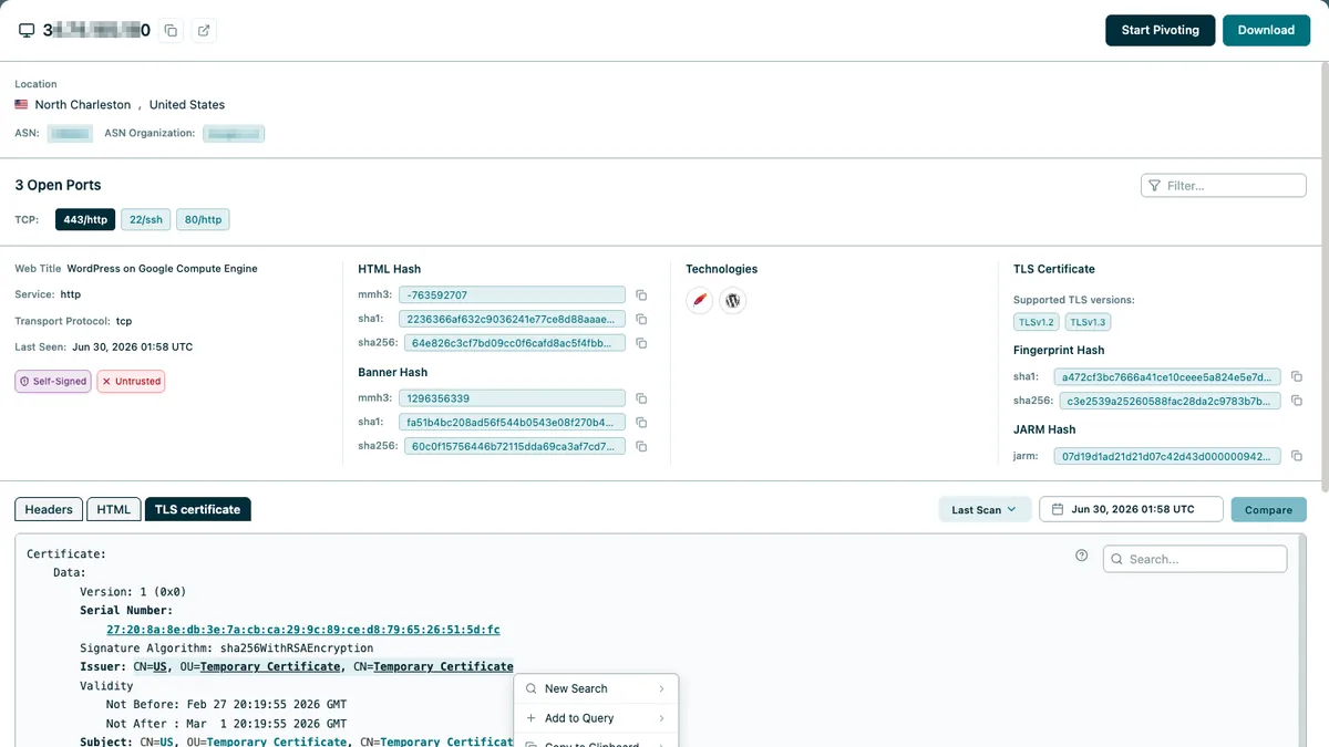 Advanced Pivoting in Modat Magnify